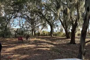 Ocklawaha Dr, Leesburg, FL 34788 - Photo 1