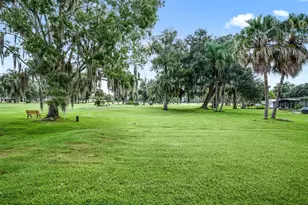 41 Big Oak Ln, Wildwood, FL 34785 - Photo 36