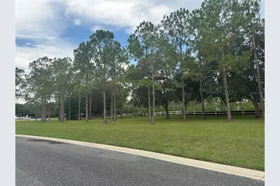 34314 Tuscany Avenue, Sorrento, FL 32776 - Photo 46