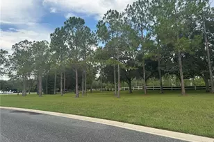 34314 Tuscany Ave, Sorrento, FL 32776 - Photo 46