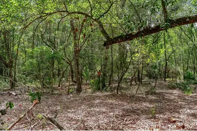 Se 152nd - Lot 16 (Ravenswood Rd) Parcel B Place, Altoona, FL 32702 - Photo 30