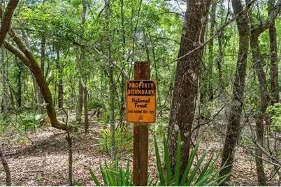 Se 152nd - Lot 16 (Ravenswood Rd) Parcel B Place, Altoona, FL 32702 - Photo 8