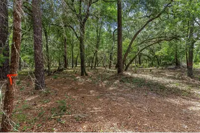Se 152nd - Lot 16 (Ravenswood Rd) Parcel B Place, Altoona, FL 32702 - Photo 24