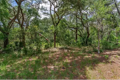 Se 152nd - Lot 16 (Ravenswood Rd) Parcel B Place, Altoona, FL 32702 - Photo 20