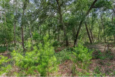 Se 152nd - Lot 16 (Ravenswood Rd) Parcel B Place, Altoona, FL 32702 - Photo 22