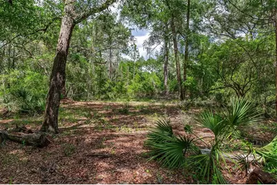 Se 152nd - Lot 16 (Ravenswood Rd) Parcel B Place, Altoona, FL 32702 - Photo 4