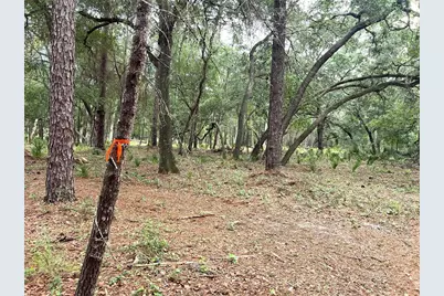 Se 152nd - Lot 16 (Ravenswood Rd) Parcel B Place, Altoona, FL 32702 - Photo 10