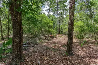 Se 152nd - Lot 16 (Ravenswood Rd) Parcel B Place, Altoona, FL 32702 - Photo 28
