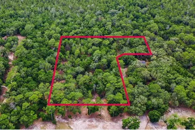Se 152nd - Lot 16 (Ravenswood Rd) Parcel B Place, Altoona, FL 32702 - Photo 1