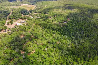 Se 152nd - Lot 16 (Ravenswood Rd) Parcel B Place, Altoona, FL 32702 - Photo 16