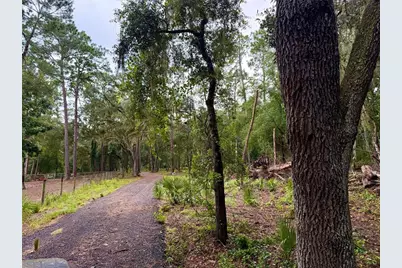 Se 152nd - Lot 16 (Ravenswood Rd) Parcel B Place, Altoona, FL 32702 - Photo 32