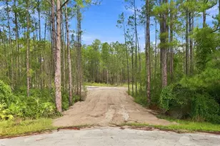Alder Way, Eustis, FL 32736 - Photo 1