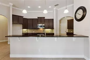 3065 Murano Ct, Mount Dora, FL 32757 - Photo 12