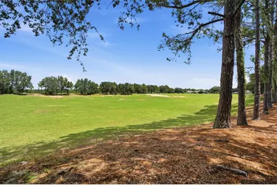 27001 White Plains Way, Leesburg, FL 34748 - Photo 36