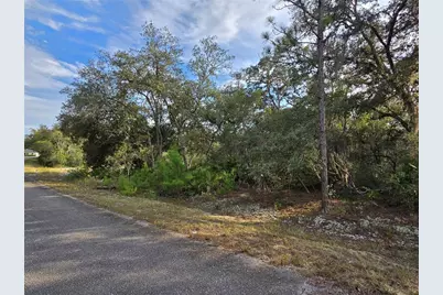 Fisher Way, Ocklawaha, FL 32179 - Photo 2