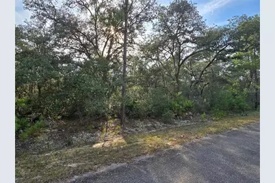 Fisher Way, Ocklawaha, FL 32179 - Photo 4