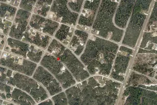 Fisher Way, Ocklawaha, FL 32179 - Photo 1