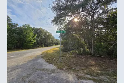 Fisher Way, Ocklawaha, FL 32179 - Photo 8
