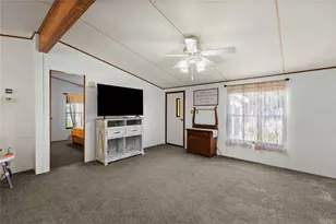 2341 SE 102nd Ln, Webster, FL 33597 - Photo 4