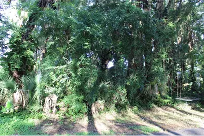 7023 Jasmine Avenue, Cocoa, FL 32927 - Photo 4