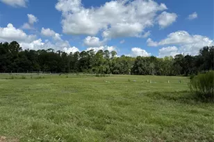 14875 Cr 751, Webster, FL 33597 - Photo 38