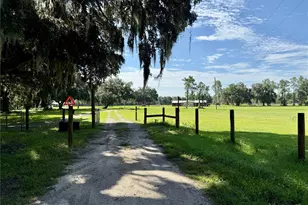 14875 Cr 751, Webster, FL 33597 - Photo 42