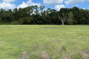 14875 Cr 751, Webster, FL 33597 - Photo 78