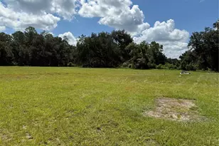 14875 Cr 751, Webster, FL 33597 - Photo 68