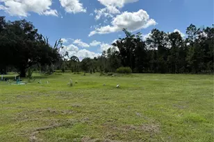 14875 Cr 751, Webster, FL 33597 - Photo 62