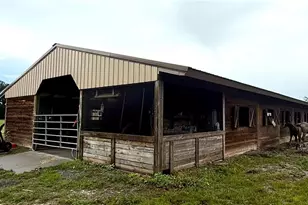 14875 Cr 751, Webster, FL 33597 - Photo 10