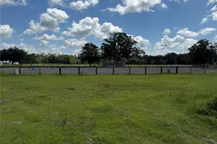 14875 Cr 751, Webster, FL 33597 - Photo 28