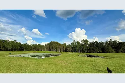 14875 Cr 751, Webster, FL 33597 - Photo 50