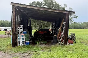 14875 Cr 751, Webster, FL 33597 - Photo 20