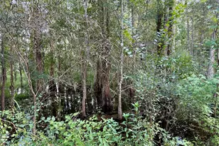 14875 Cr 751, Webster, FL 33597 - Photo 56