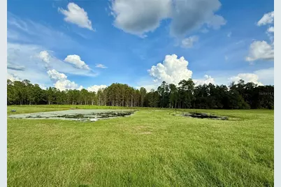14875 Cr 751, Webster, FL 33597 - Photo 48
