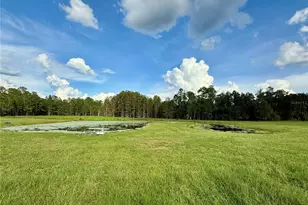14875 Cr 751, Webster, FL 33597 - Photo 48