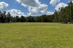 14875 Cr 751, Webster, FL 33597 - Photo 72