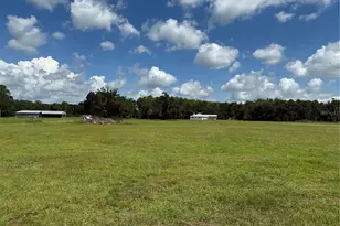14875 Cr 751, Webster, FL 33597 - Photo 64