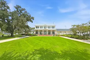 226 Hammock Preserve Loop, Oakland, FL 34787 - Photo 46