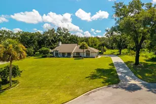 19020 Lake Swatara Rd, Eustis, FL 32726 - Photo 1