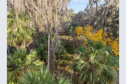 3809 Cr 405N, Lake Panasoffkee, FL 33538 - Photo 72