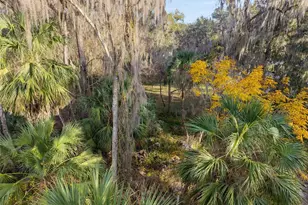 3809 Cr 405N, Lake Panasoffkee, FL 33538 - Photo 72