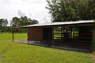 7826 Cr 736, Center Hill, FL 33514 - Photo 60