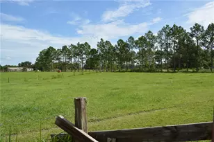 7826 Cr 736, Center Hill, FL 33514 - Photo 66