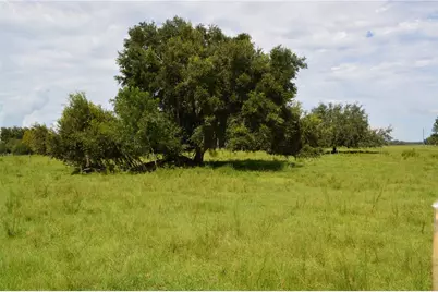 7826 Cr 736, Center Hill, FL 33514 - Photo 56