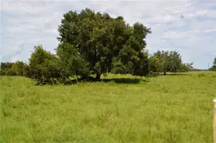 7826 Cr 736, Center Hill, FL 33514 - Photo 56