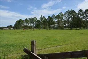 7826 Cr 736, Center Hill, FL 33514 - Photo 68