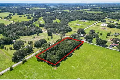 3076 County Road 202, Oxford, FL 34484 - Photo 4