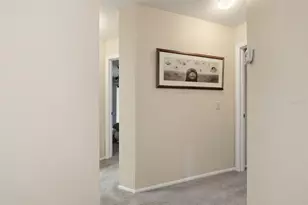 6810 Plumleaf Ct, Spring Hill, FL 34606 - Photo 16