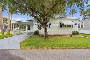 33 Cocos Plumosa Dr, Eustis, FL 32726 - Photo 8